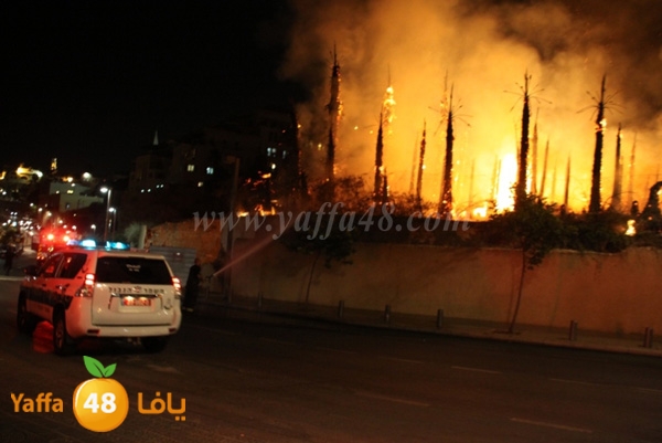 fire minas2 sterer (9).JPG